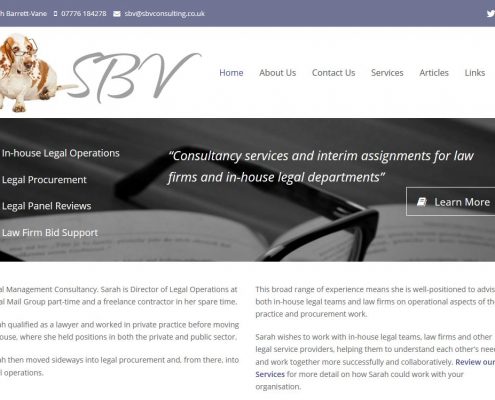 SBV Consulting website